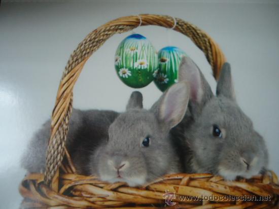 Postais: BONITA TARGETA POSTAL DE CRIA DE ANIMALES