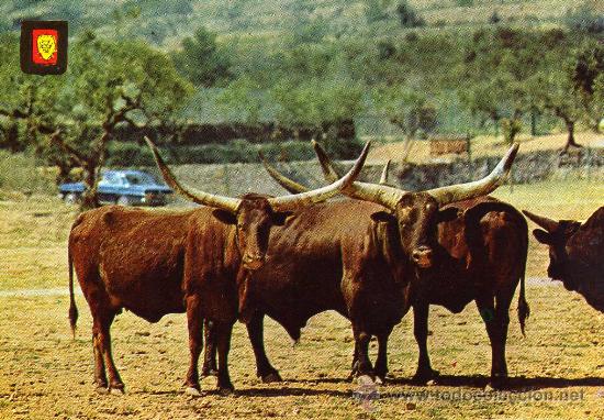 Postais: ANIMALES SALVAJES N&ordm; 23 EDICIONES ESCUDO DE ORO NUEVA