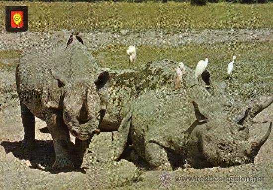 Postais: ANIMALES SALVAJES N&ordm; 7 EDICIONES ESCUDO DE ORO NUEVA