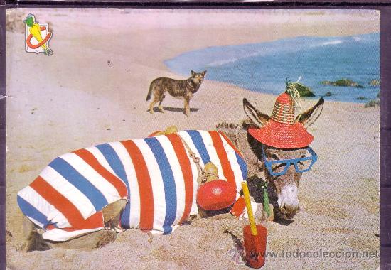 Postais: PRECIOSA Y SIMPATICA POSTAL DE UN BURRITO