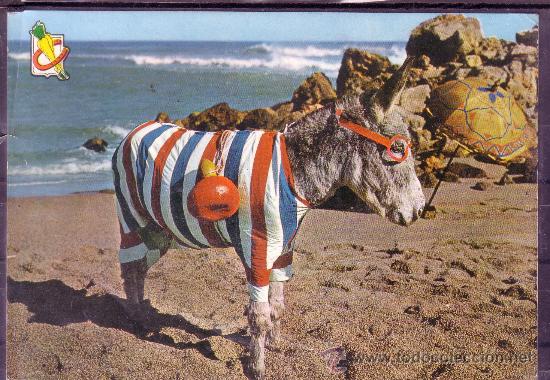 Postais: PRECIOSA Y SIMPATICA POSTAL DE UN BURRITO