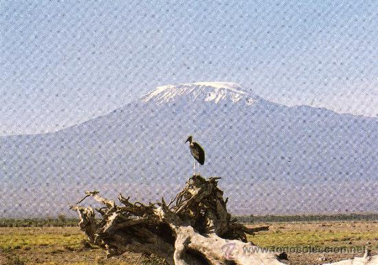 Postais: &Aacute;FRICA KENYA KENIA MONTE KILIMANJARO NUEVA