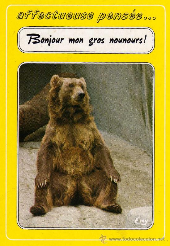 Postais: OSO NUEVA