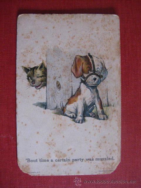 Postales: PERRO Y GATO.  REF.- AH. 578 - Foto 1