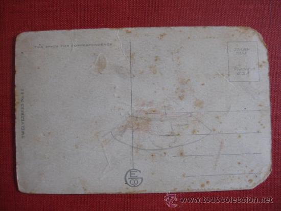 Postales: PERRO Y GATO.  REF.- AH. 578 - Foto 2