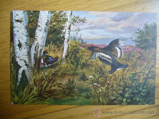 Postais: POSTAL DE AVES SERIE 68 MARCA EGEMES GERMANY A&Ntilde;OS 30/40 SIN CIRCULAR