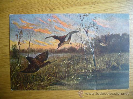 Postais: POSTAL DE AVES SERIE 68 MARCA EGEMES GERMANY A&Ntilde;OS 30/40 SIN CIRCULAR
