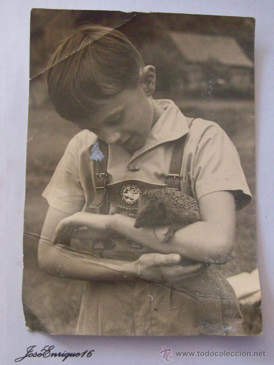 Postais: CHILD WITH ANIMALS, NI&Ntilde;O CON ANIMALITO. FOTO VOGT G&Ouml;RLITZ