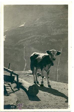 Cartes Postales: 5675 - ANTIGUA POSTAL EDICIONES STAR - LAUSANNE N&ordm; 4528