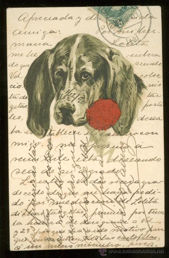 Postales: TARJETA POSTAL DE ANIMALES. - Foto 1