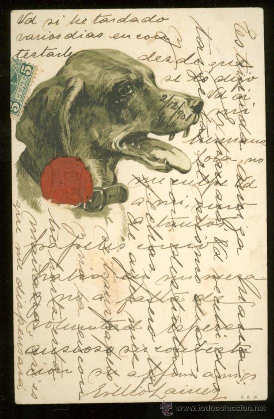 Postales: TARJETA POSTAL DE ANIMALES. - Foto 1