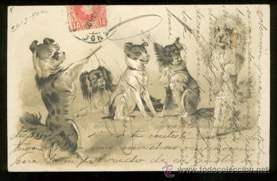 Postales: TARJETA POSTAL DE ANIMALES. - Foto 1