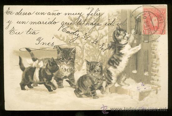 Postales: TARJETA POSTAL DE ANIMALES. - Foto 1