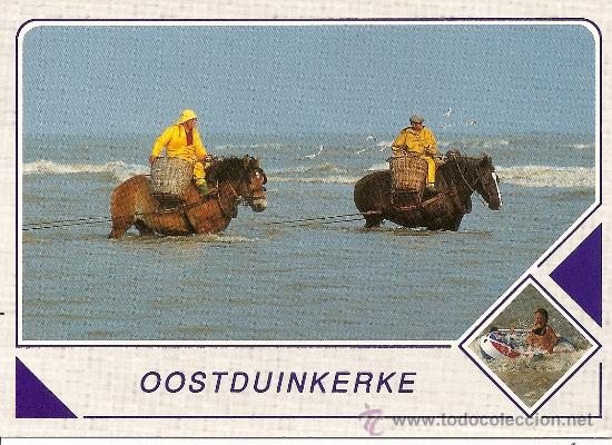 Postais: POSTAL BELGA PESCA A CABALLO CIRCULADA CON SELLOS Y MATASELLOS