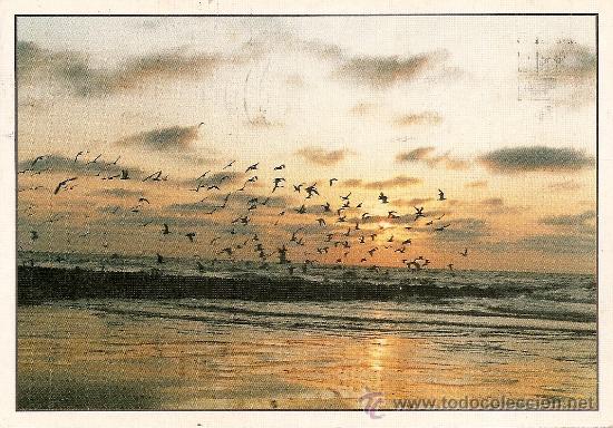 Postais: POSTAL DE LA COSTA BELGA CON SELLO Y MATASELLOS