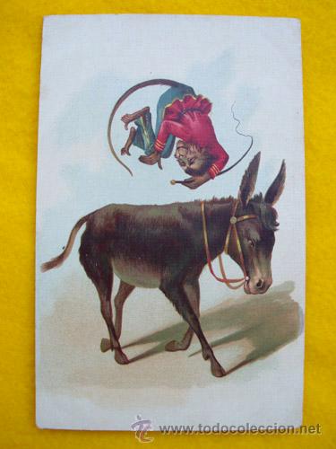 Postais: Antigua Postal : Mono con burrito