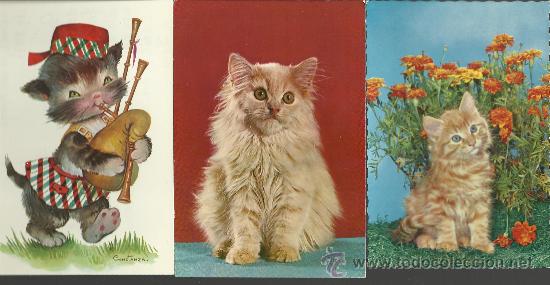 Postais: 3 PRECIOSAS POSTALES ANTIGUAS DE GATOS