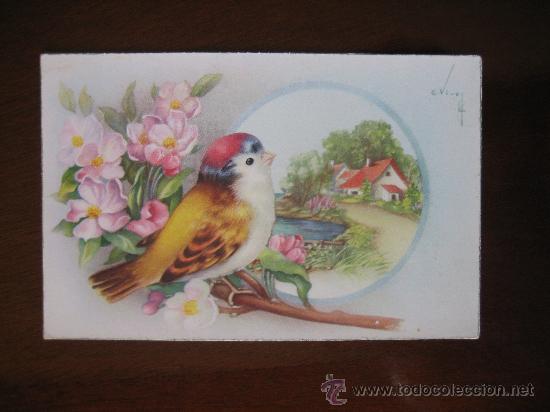Postais: Postal pajaro pajarito y paisaje. Ed. C y Z A&ntilde;os 50