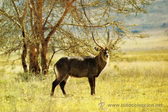 Postais: N&ordm; 7 GAMO DE AGUA BERGAS ESCRITA CIRCULADA CON SELLO A&Ntilde;O 1973