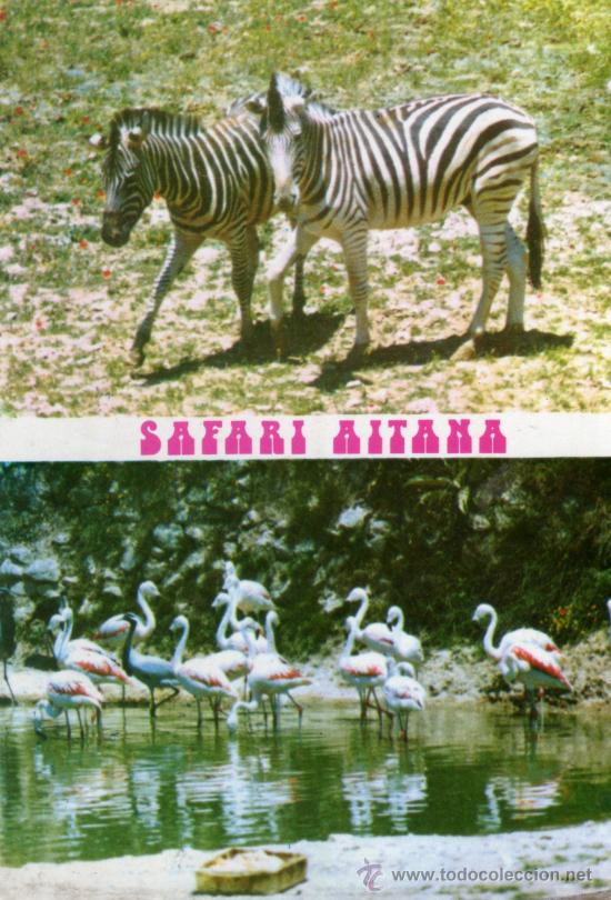 Postais: SAFARI AITANA ESCRITA CIRCULADA SELLO A&Ntilde;O 1975