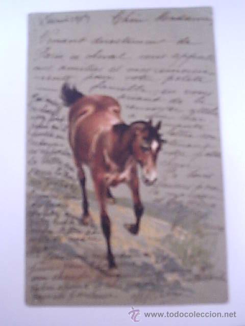 Cartes Postales: POSTAL ANTIGUA DE CABALLO-CARTE POSTALE-FRANCESA CIRCULADA 1903