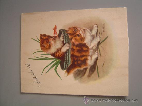 Postcards: Bonita postal de dos gatos con apertura en diorama