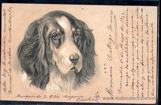 Postales: TARJETA POSTAL DE ANIMALES. PERRO - Foto 1