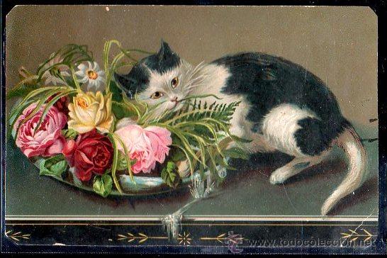 Postais: TARJETA POSTAL DE ANIMALES. GATO CON ROSAS