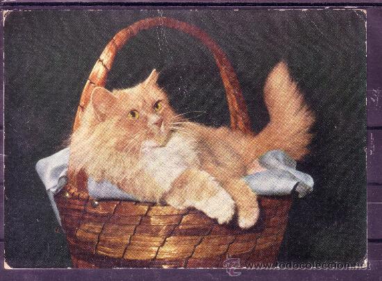 Postais: POSTAL CON UN GATO - GATITO EN UN CANASTO