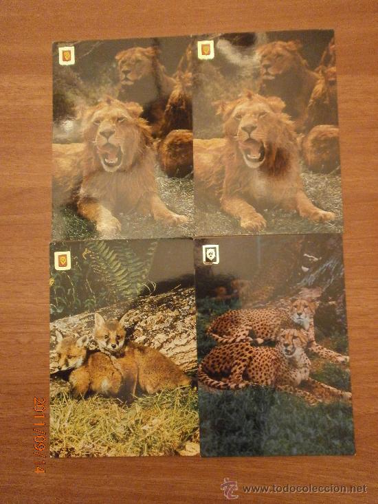 Postais: 7 POSTALES. ANIMALES SALVAJES DIFERENTES.