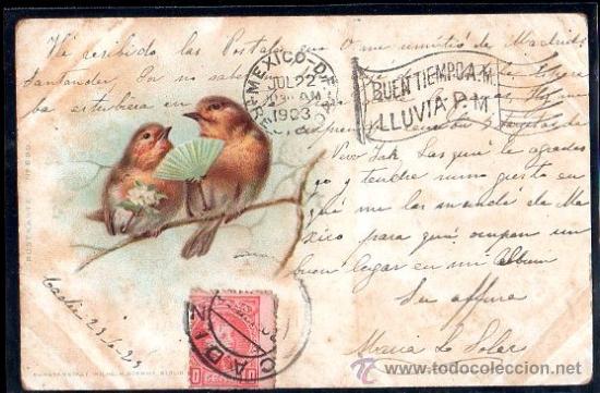Postales: TARJETA POSTAL DE PAJAROS - Foto 1