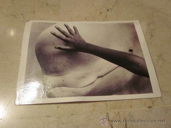 Cartes Postales: POSTAL BBC WILDLIFE BELUGA