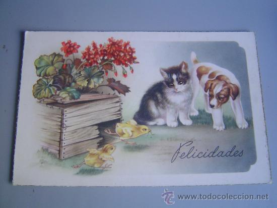 Postcards: Bonita postal de un gato y unperro mirando a dos pollitos