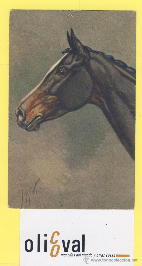 Cartes Postales: Postal   caballo ilustracion de j rivst edition stehli n&ordm; 154 stzf suisse-P 1320