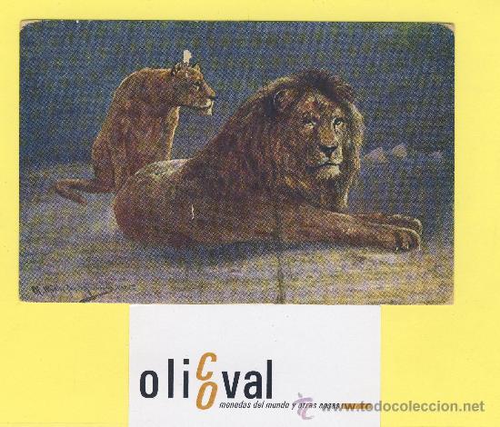 Cartes Postales: Postal  leon -leona ilustracion firmada  ed.w+s+s+b 6962-P-1329