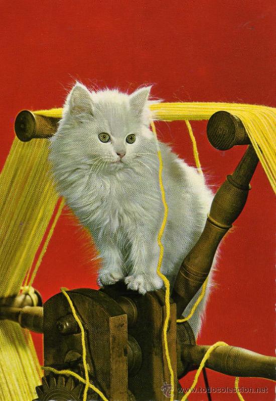 Cartes Postales: POSTAL ANIMALES GATITO NUEVA SIN CIRCULAR EDICIONES CYZ 6567