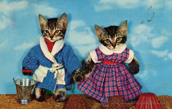 Cartes Postales: POSTAL ANIMALES GATITOS ESCRITA SIN CIRCULAR A&Ntilde;OS 60