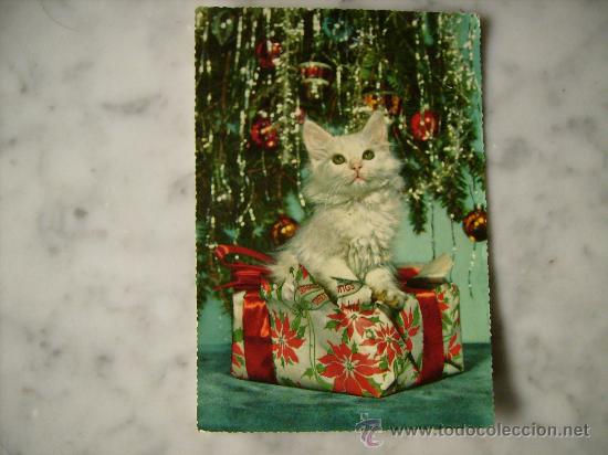 Cartes Postales: POSTAL NAVIDE&Ntilde;A CON GATO.ESCRITA SIN CIRCULAR.