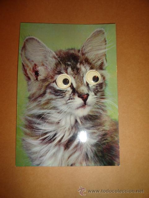 Postais: POSTAL GATO (OJOS QUE SE MUEVEN)