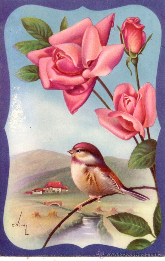Postcards: POSTAL N&ordm; 5131 PAJARO Y FLOR