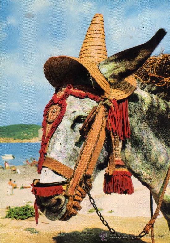 Cartes Postales: MONTURA ENJAEZADA A LA ANDALUZA N&ordm; 1711 ESCRITA CIRCULADA SELLO