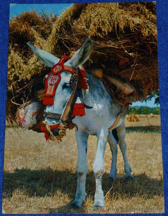 Postcards: Ministro llevando su cartera - A&ntilde;o 1969