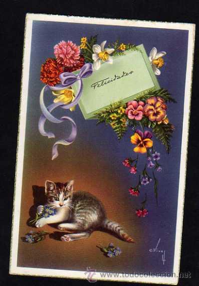 Cartes Postales: POSTAL FELICIDADES. GATO Y FLORES - 1955