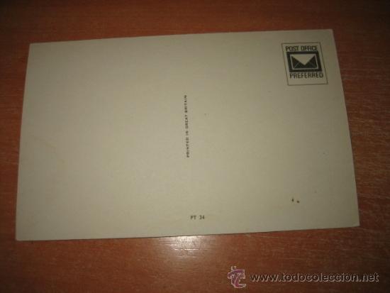 Postales: GATITO - Foto 2