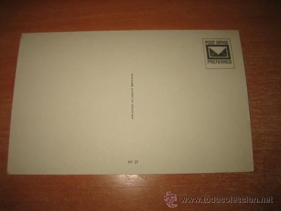 Postales: GATITOS - Foto 2