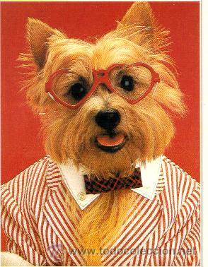 Cartes Postales: PERRO***POSTALES  STAR POSTCARDS***DISTRIMATGE S.A. ***SIN CIRULAR 1.989