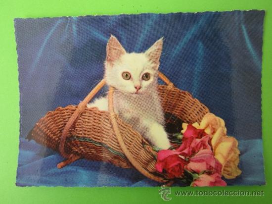 Cartes Postales: postal gatito en cesta . circulada 1958