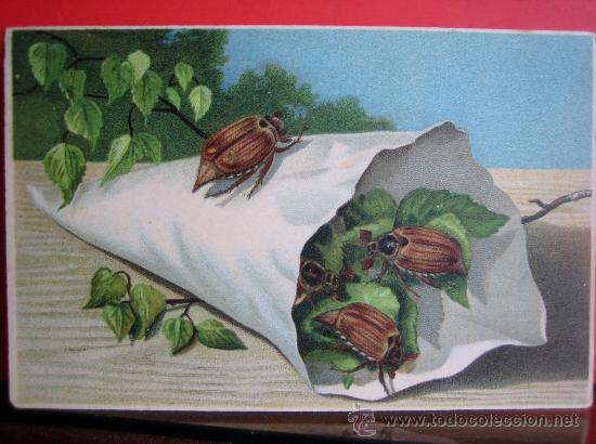 Cartes Postales: PRECIOSA POSTAL MODERNISTA - ART NOUVEAU  HACIA 1900 - INSECTOS