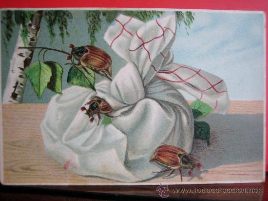 Postcards: PRECIOSA POSTAL MODERNISTA - ART NOUVEAU  HACIA 1900 - INSECTOS
