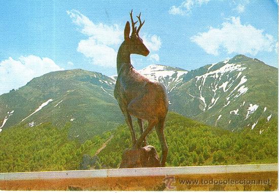 Postais: postal picos de europa, puerto de san glorio al fondo macizo de pe&ntilde;a prieta ,ciervo
